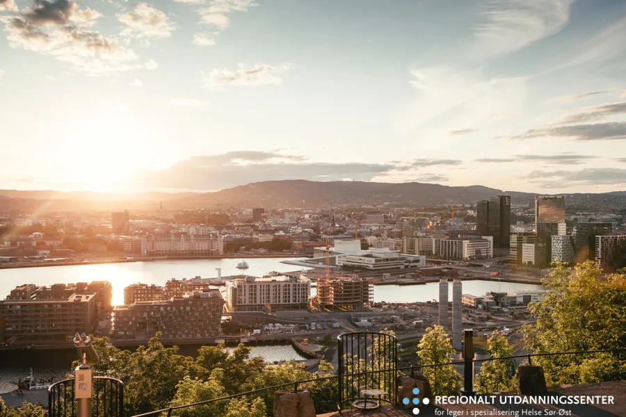 Panoramautsikt over Oslo en solskinnsdag med logoen til RegUt HSØ
