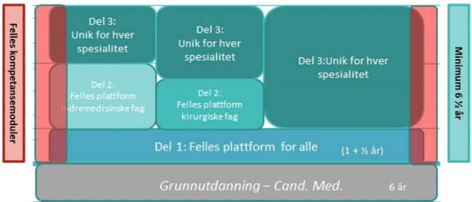 Til Deg Med Spørsmål Om LIS1 - Spesialisthelsetjenesten.no