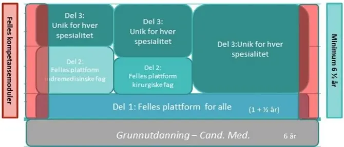 Tabell av oppbyggingen til spesialistutdanningen